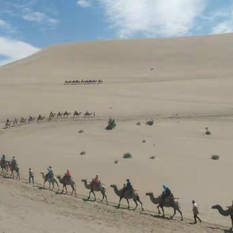 去一个美丽的地方