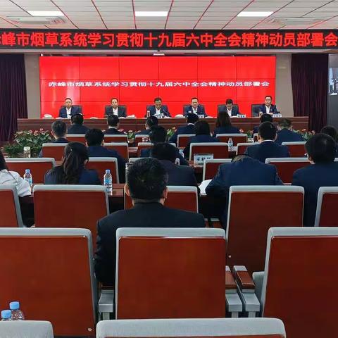 深入学习贯彻全会精神，意气风发踏上新征程