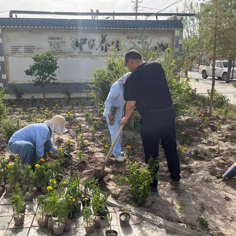 栽花育苗，共建美丽环境