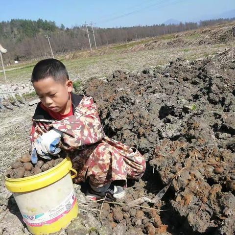 果育小学三（1）班张俊伟2023年乐昌市果育小学“扣好人生第一粒扣子”系列活动