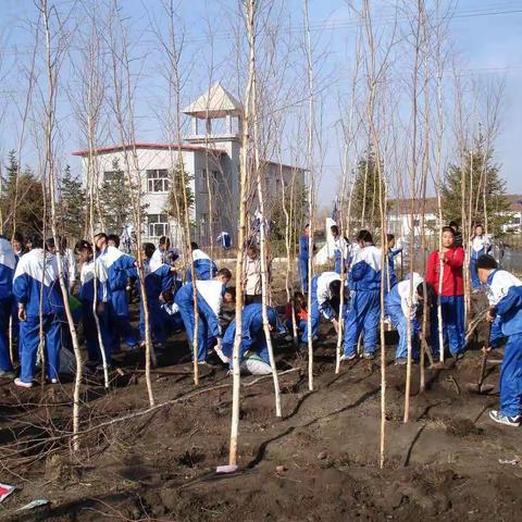 北安市赵光农场学校“绿色低碳校园”活动