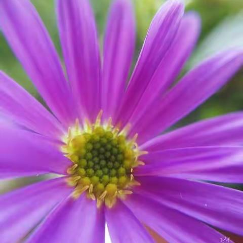 2020年2月10日，11日网课之一