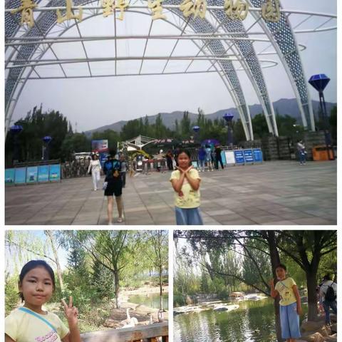 参观大青山野生动物园