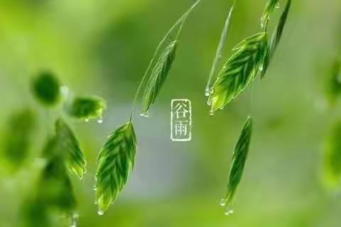 走进谷雨🌧️播种快乐💗