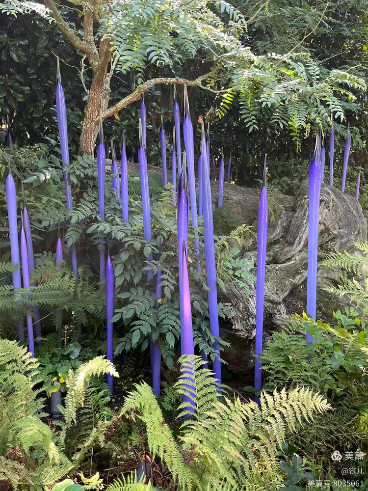 图片[53]-《世界最美的吹制玻璃艺术》-华闻时空