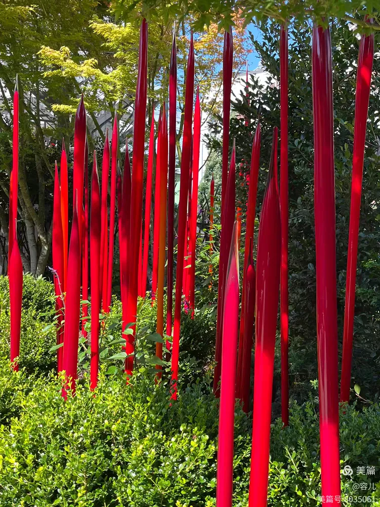 图片[49]-《世界最美的吹制玻璃艺术》-华闻时空