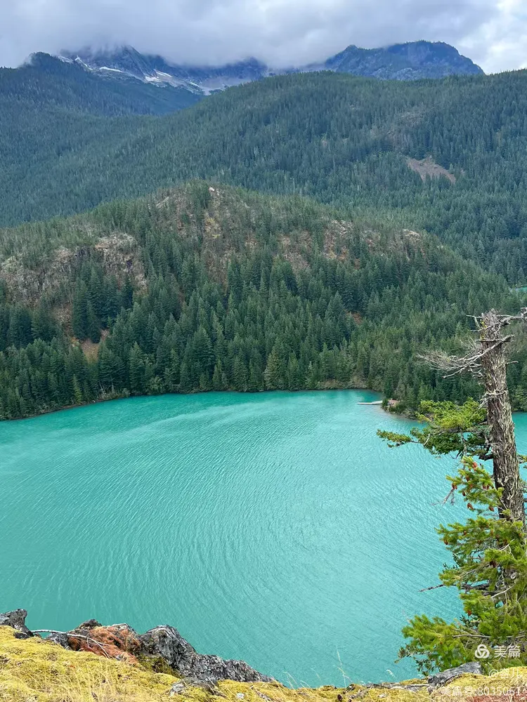 图片[10]-《见你一面、记住一生》-华闻时空