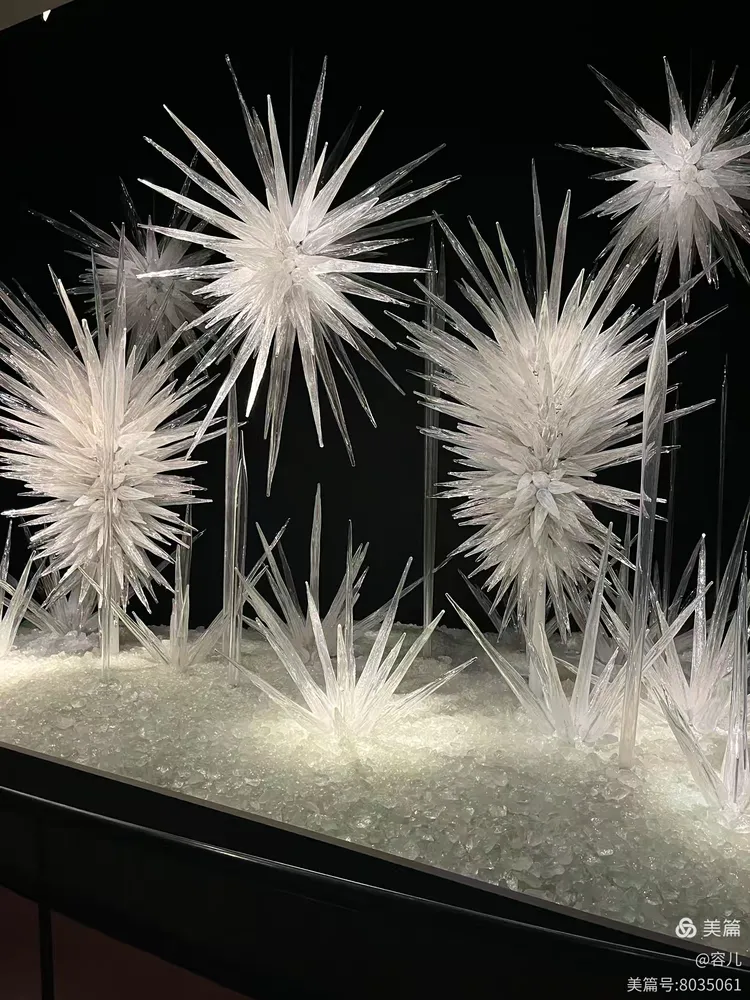 图片[4]-《世界最美的吹制玻璃艺术》-华闻时空