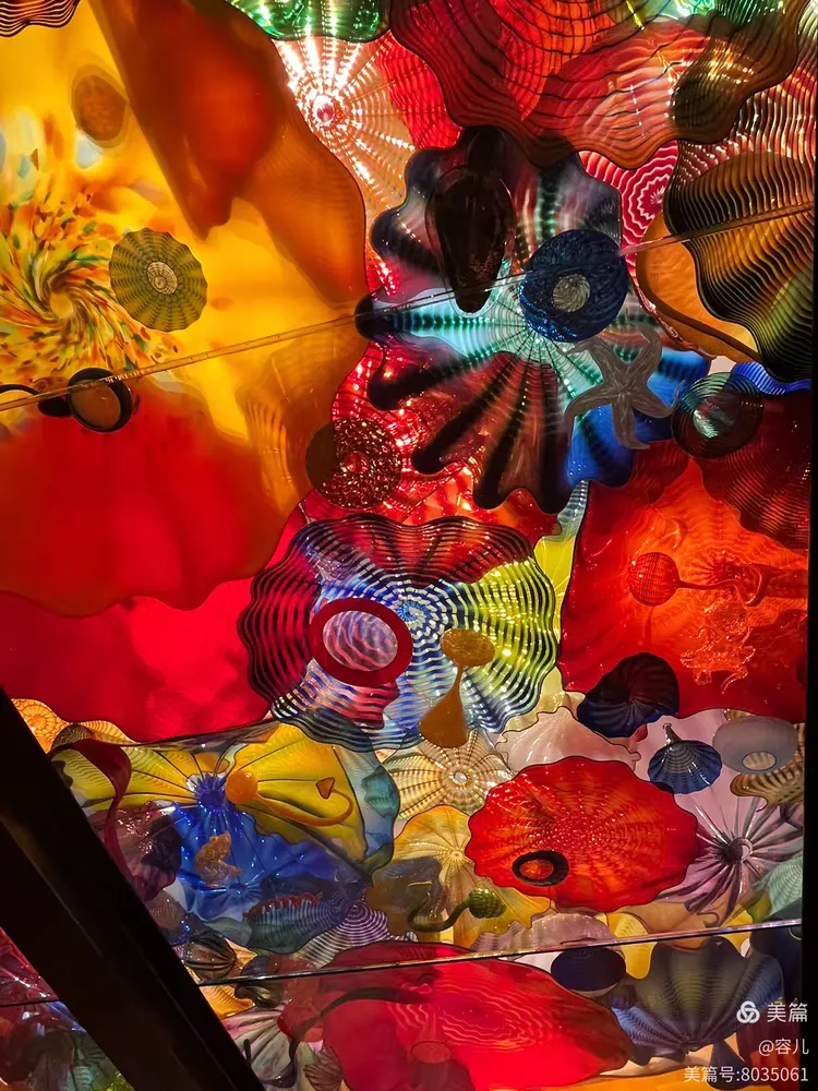 图片[9]-《世界最美的吹制玻璃艺术》-华闻时空