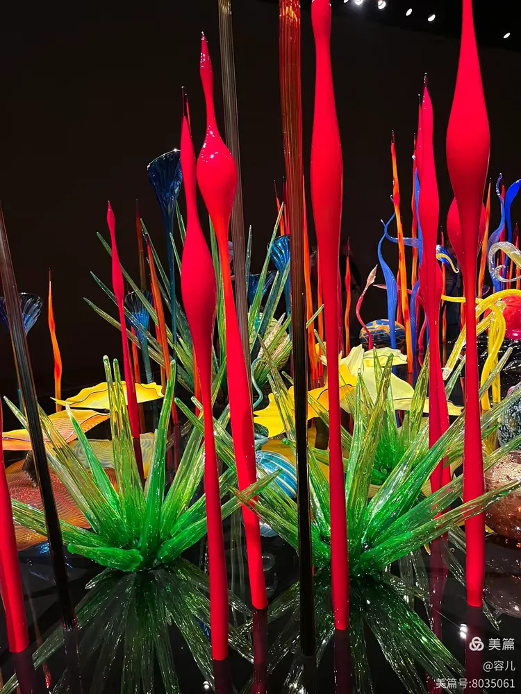 图片[22]-《世界最美的吹制玻璃艺术》-华闻时空