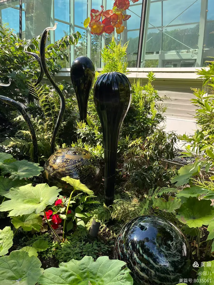 图片[55]-《世界最美的吹制玻璃艺术》-华闻时空