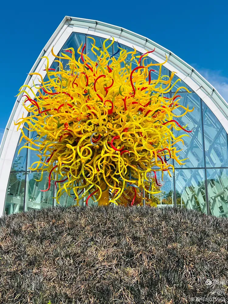 图片[66]-《世界最美的吹制玻璃艺术》-华闻时空