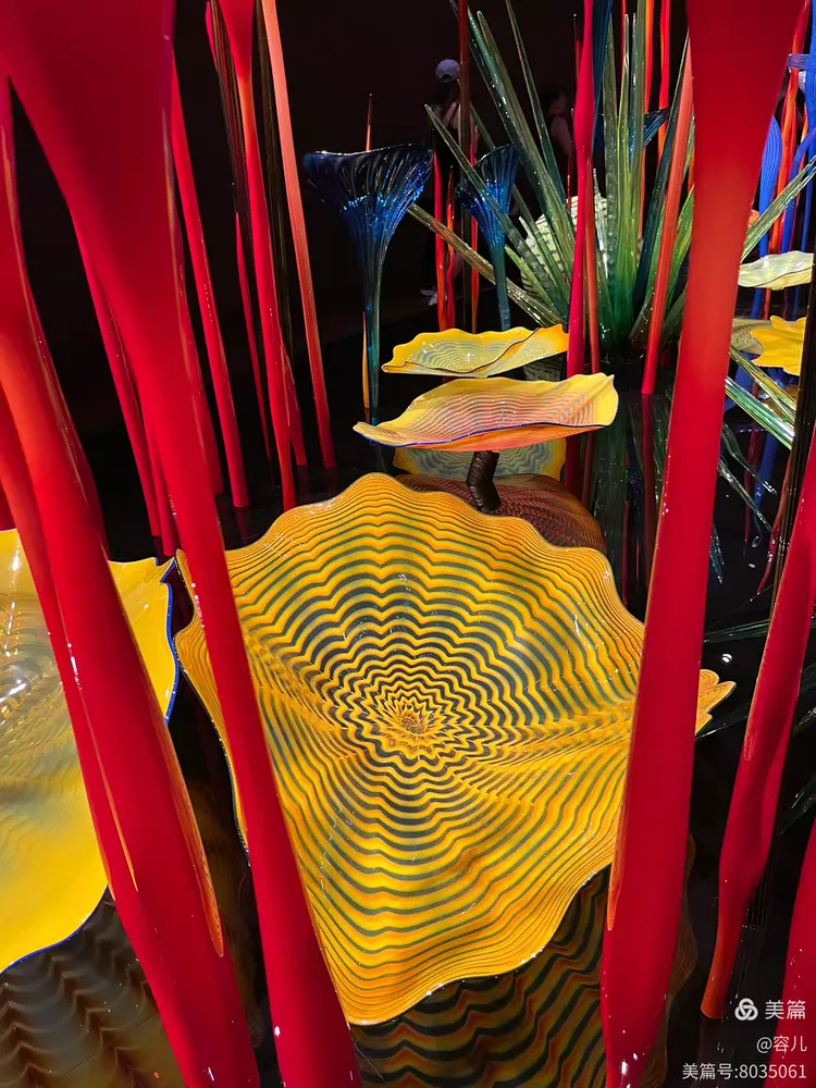 图片[25]-《世界最美的吹制玻璃艺术》-华闻时空