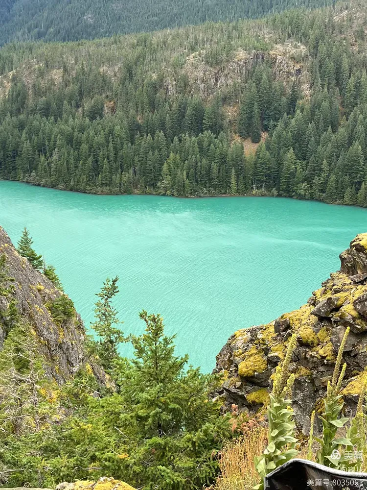 图片[18]-《见你一面、记住一生》-华闻时空