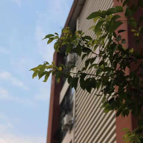 金秋一中迎盛会—记2219班秋季体艺节（男生篇）