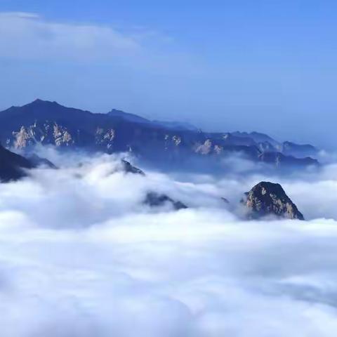秋日观奇险天下第一山--华山云海