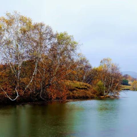 坝上草原的初秋