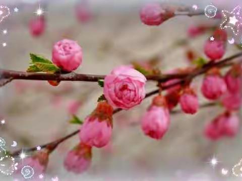 云端常相聚 成长不停歇