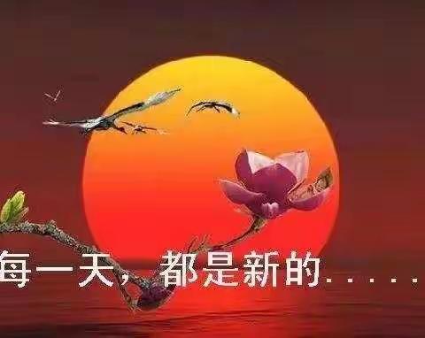 每文的美篇