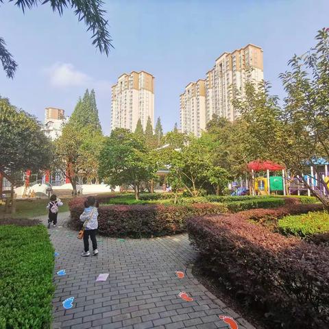 我们的幼儿园生活——实幼小六班