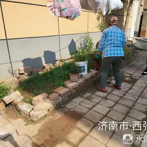 槐荫区吴家堡街道人居环境整治之西张村