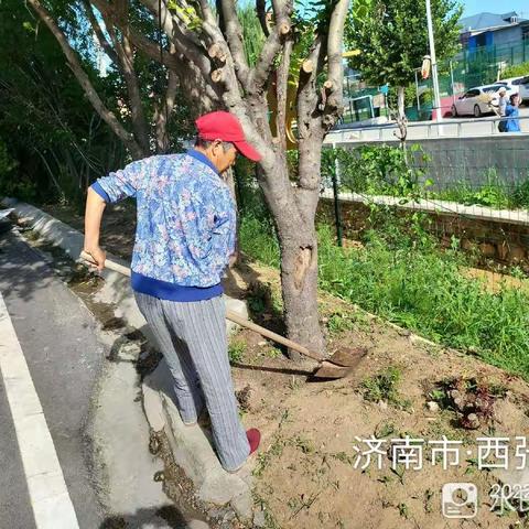 槐荫区吴家堡街道人居环境整治之西张村