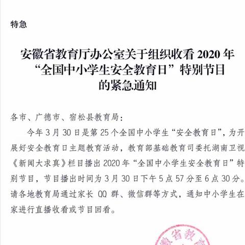 春暖花开，平安归来――东刘集中心小学“安全教育日”主题活动