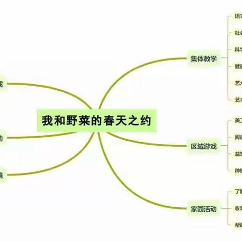 班本课程《我和春天的野菜之约》