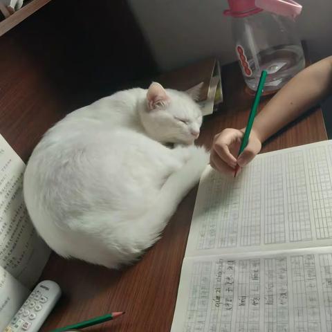陪伴