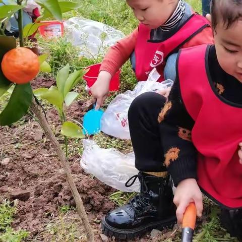 “植下一棵树  收成万点绿”——伏虎明珠幼儿园植树节活动