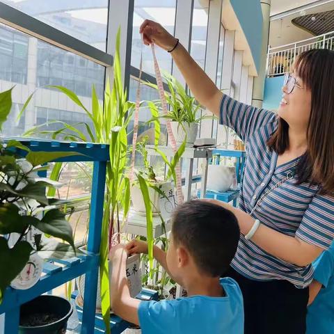 收获·相伴·成长——沙圪堵第四幼儿园学期成果汇报