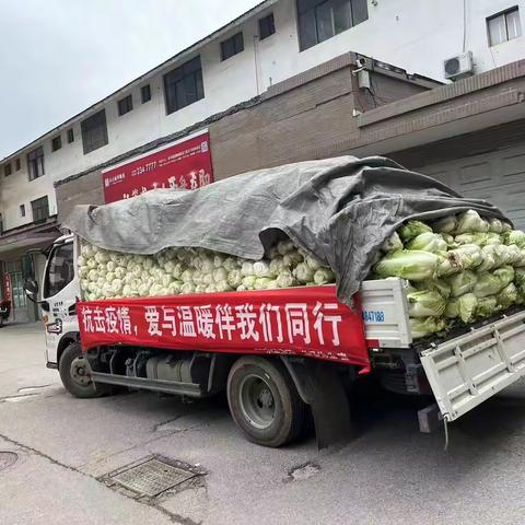 爱心传“蔬”   “菜”暖人心