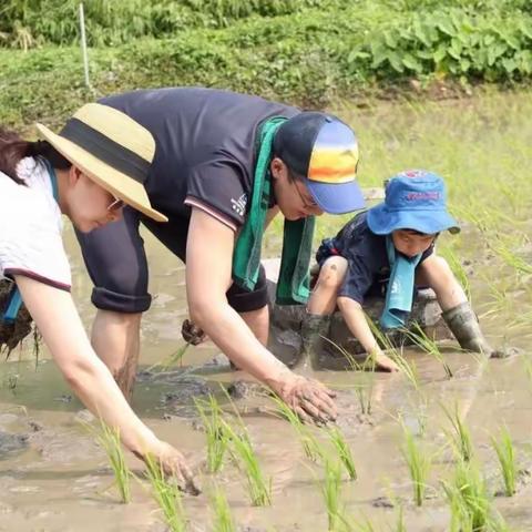 明小三(2)班【第一期】线上读书交流活动之《带孩子去这五个地方走走》