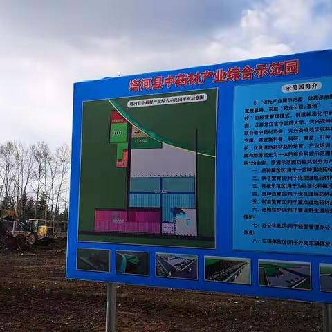 塔河县标准化中药材示范园建设进行时