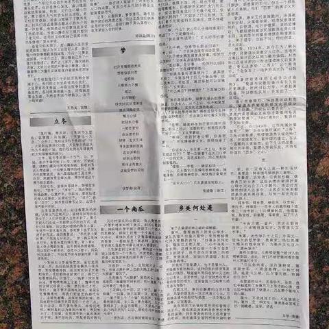 小小说《一个南瓜》刊发印度尼西亚《印华日报》2019年12月4日第215期“文艺火炬”A 10版“印华文艺”版面