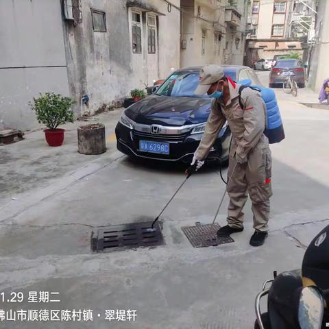 11月29日，即扑公司工作人员对陈村镇除四害工作内容如下：