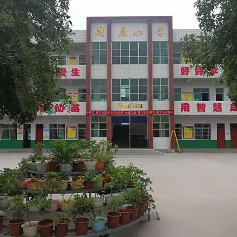 阳光体育，秀我风采——周原小学开展队列队形，广播体操，眼保健操比赛活动