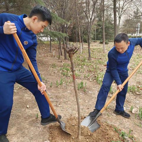 “‘植’此青绿  拥抱春天”——冀南新区大队积极开展植树节活动