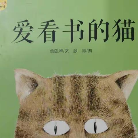 《爱看书的猫》——张佳坊乡裕丰村幼儿园绘本故事分享