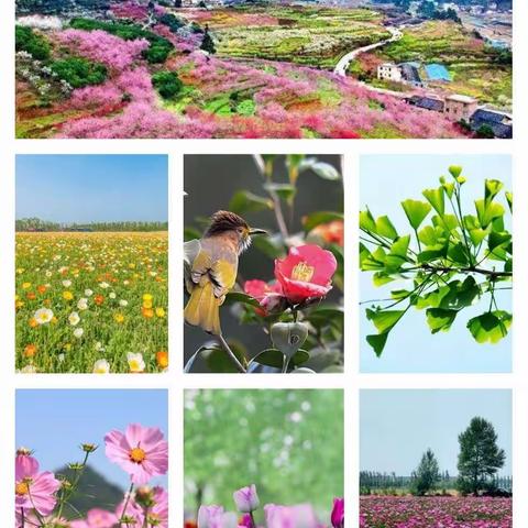 “停课不停学”之褚集镇幼儿园小班组《春天里》主题活动