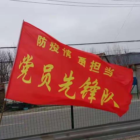 雪野镇西抬头的抗疫日记