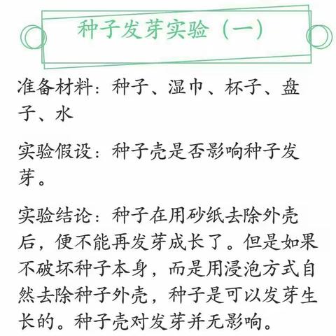 科学小实验《种子发芽》