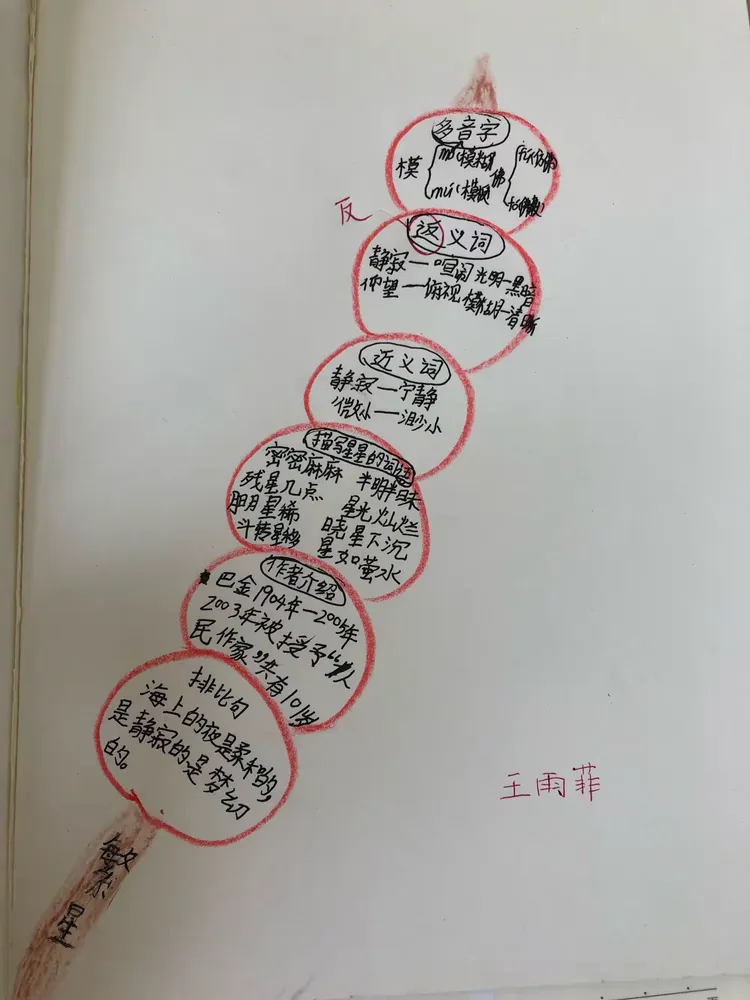 思维导图《繁星》