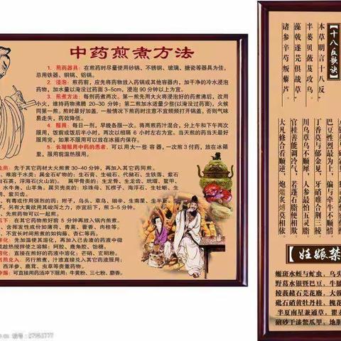 学习中药笔记（一）
