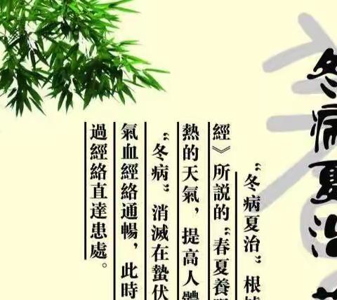 冬病夏治十大食方
