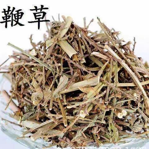 中药学习笔记（三）