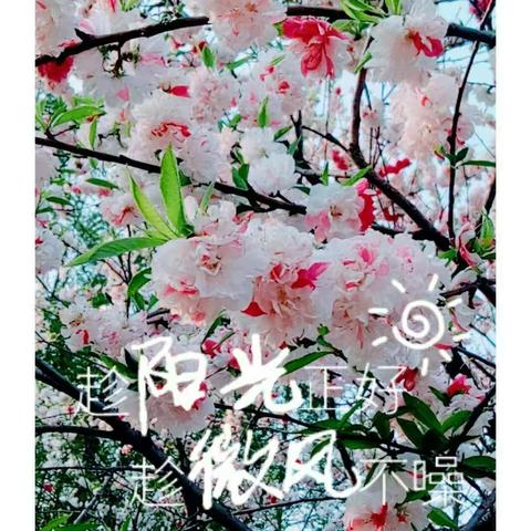 最美四月，与春相约——泗阳经济开发区学校国三（1）小百合中队春游实践活动