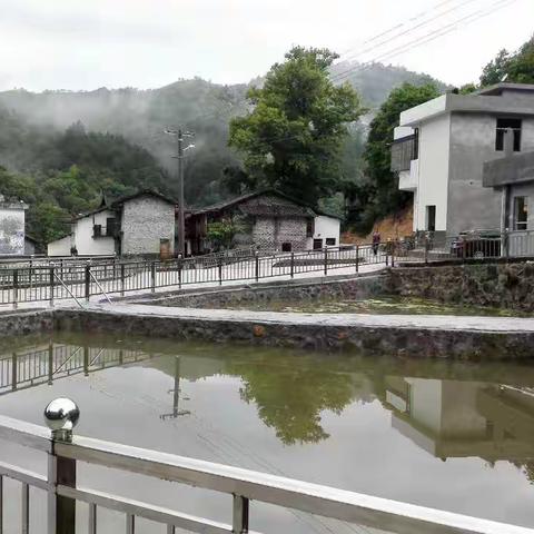 霜叶红于二月花——塘坊镇新溪村漫行记