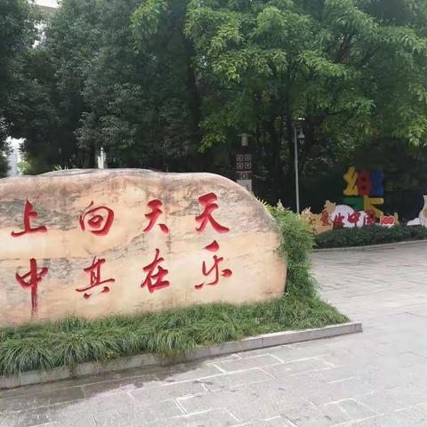 认真的你最可爱！——空港新城小学311班亲子督学记