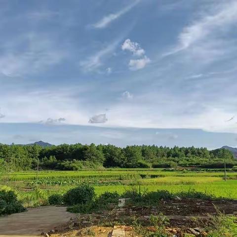 “甘露”润心田
